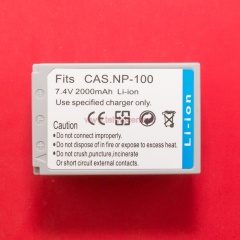 Casio NP-100 фото 2