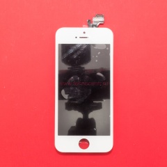 Apple iPhone 5 белый - оригинал фото 1