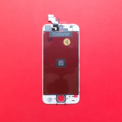 iPhone 5 белый фото 2