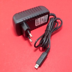 Acer Iconia Tab A510 (18W) Micro-USB фото 1